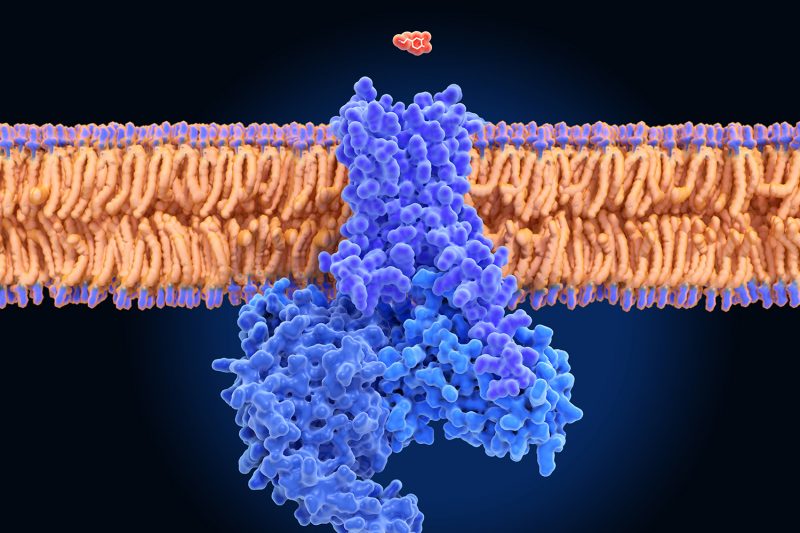 نحوه افزایش طبیعی دوپامین چیست